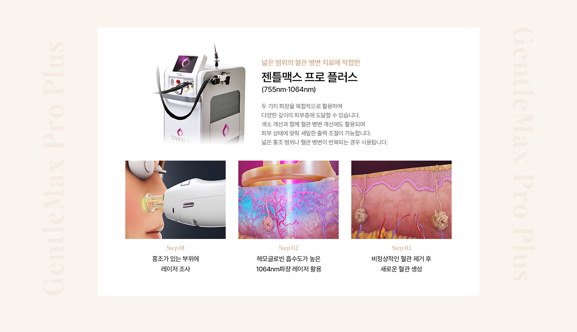 홍조 10