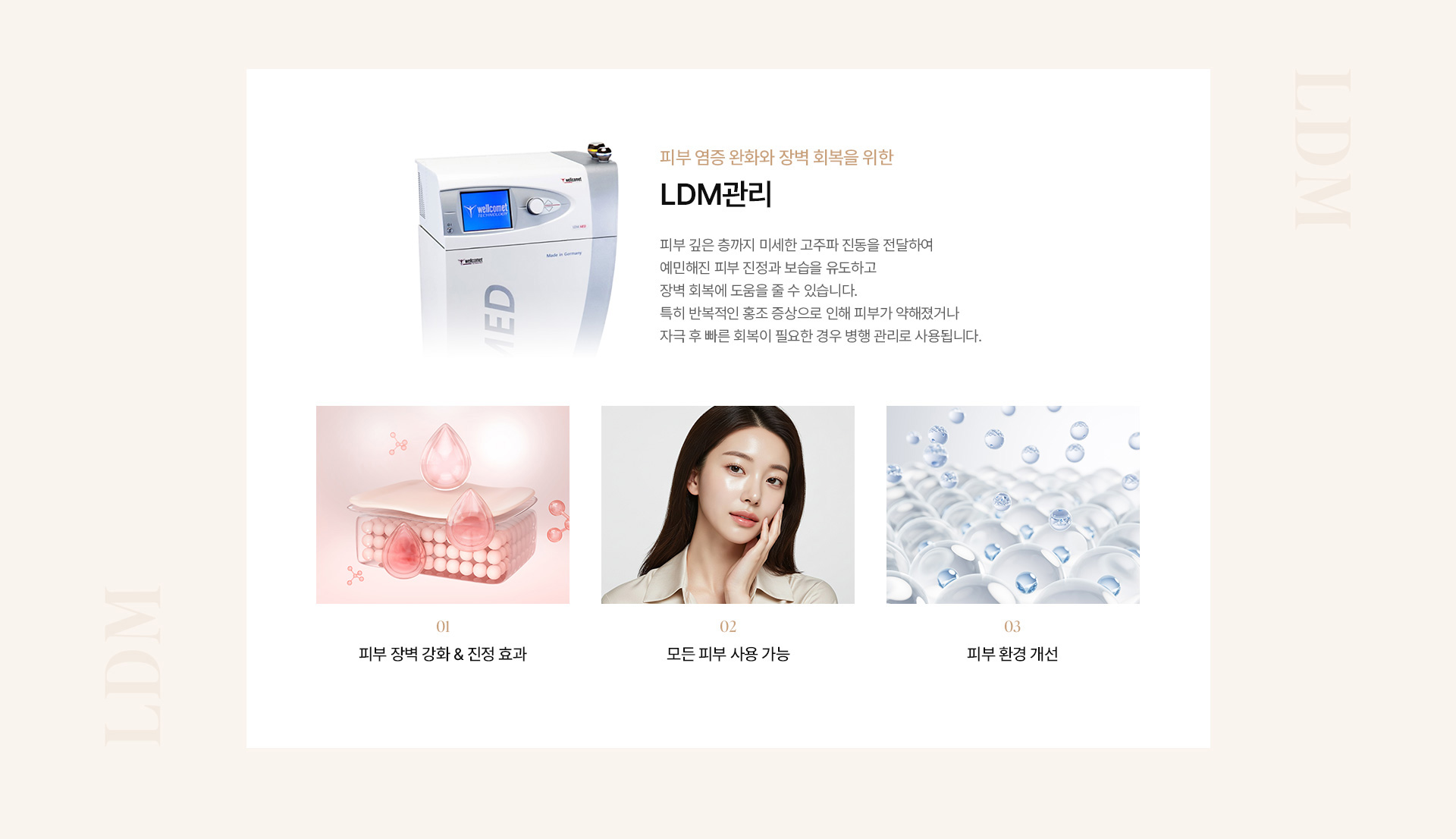 홍조 10