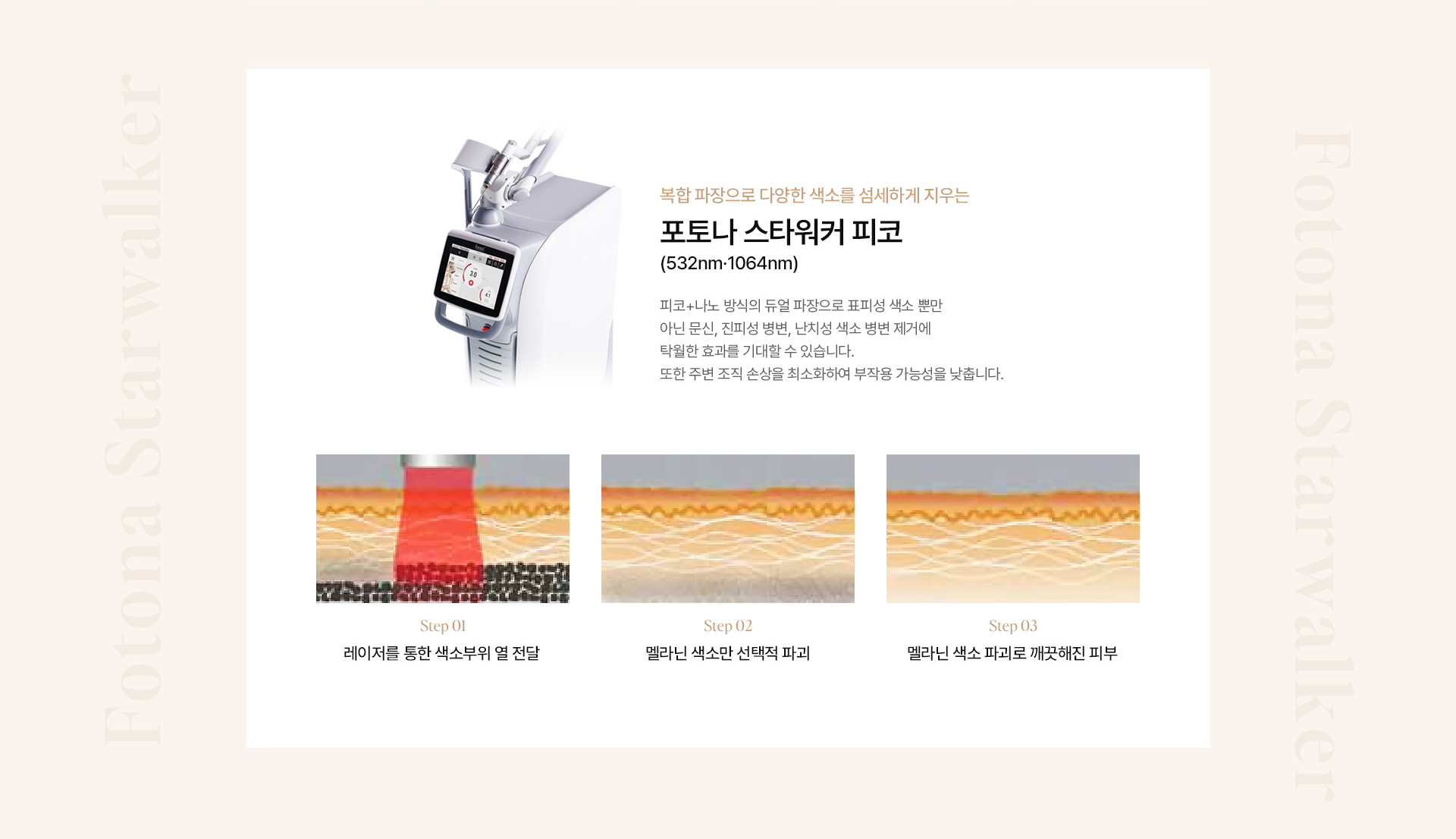기미색소 10