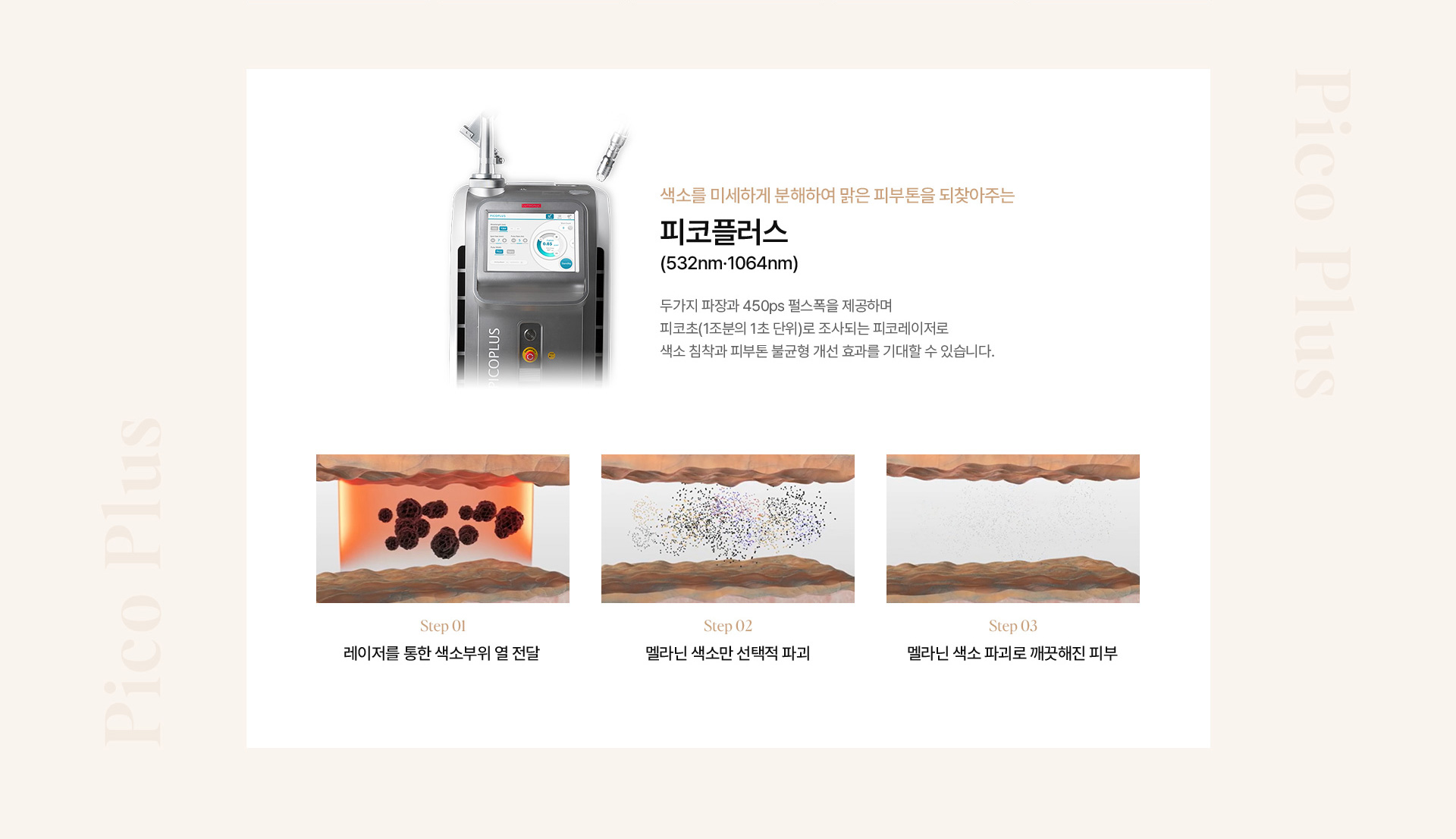기미색소 10