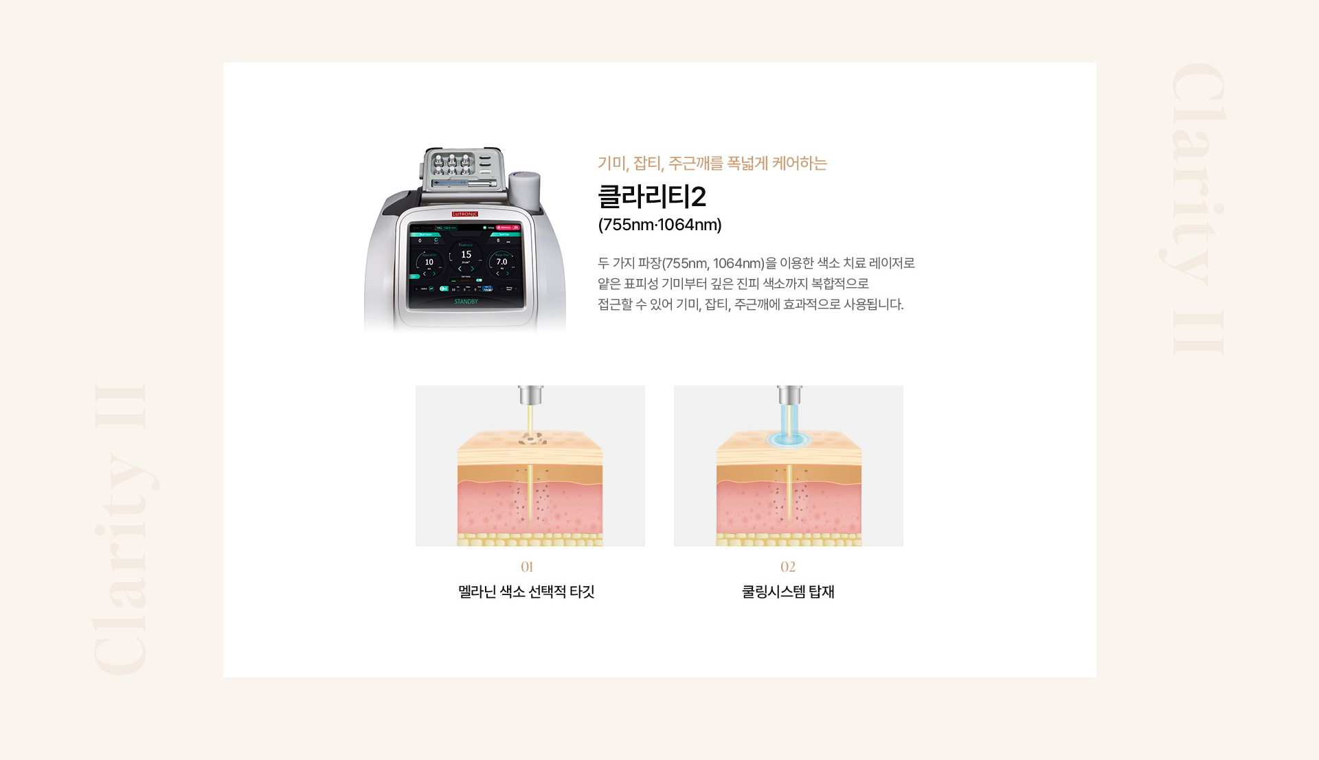 기미색소 10