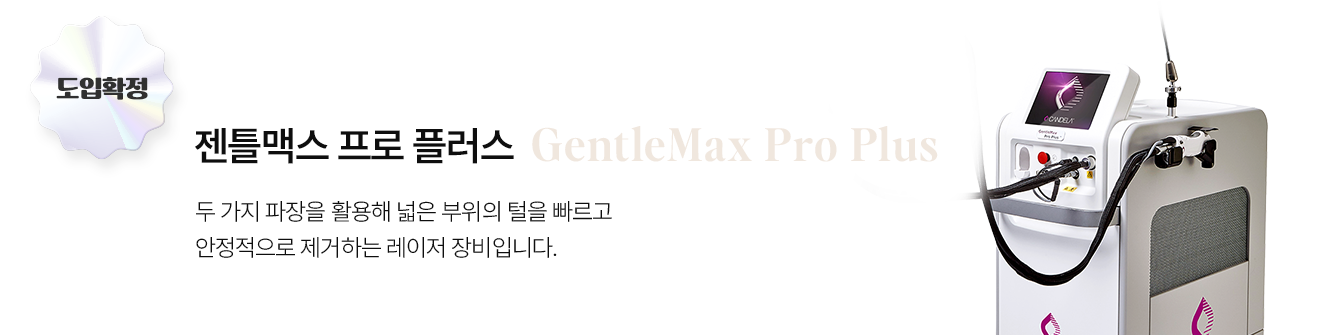 젠틀맥스 프로 플러스