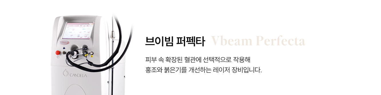 브이빔 퍼펙타