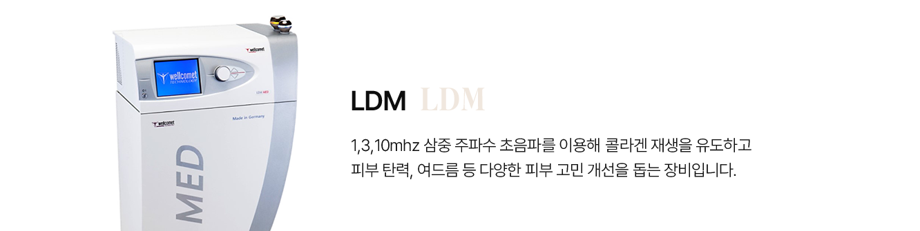 LDM